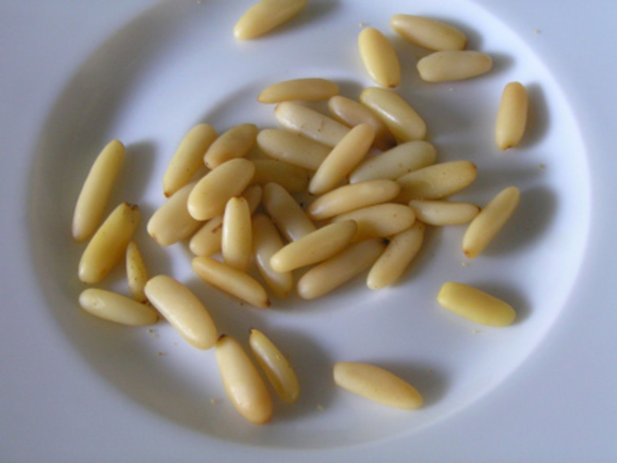 Asian Pine Nut Seeds