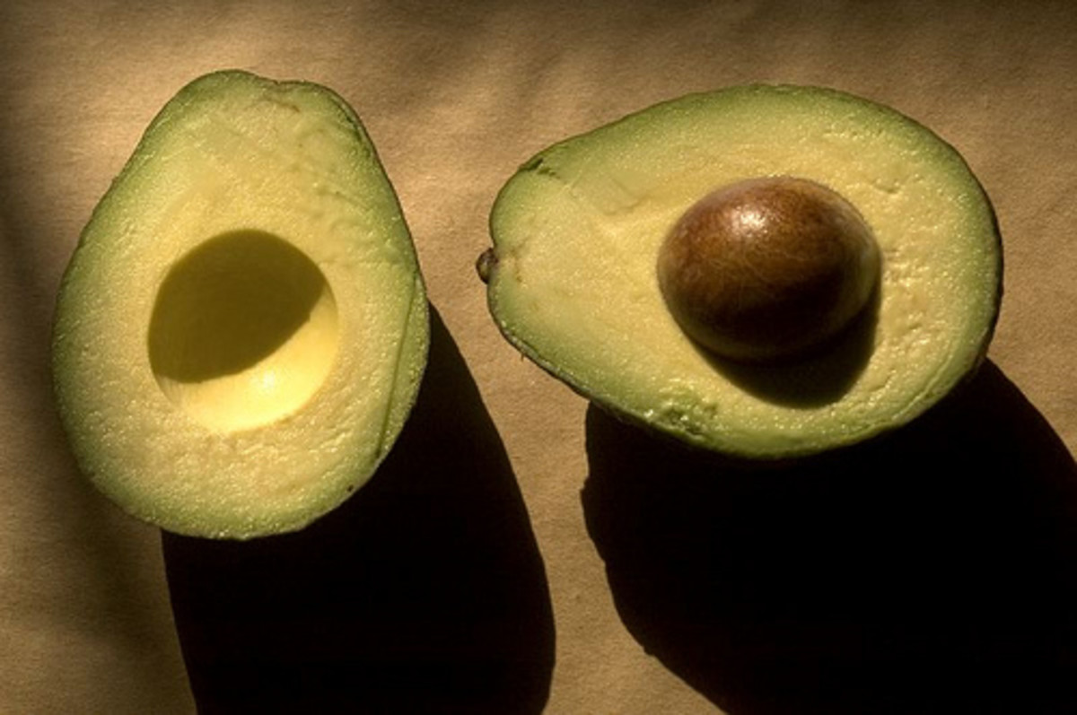 Avocado is a more tolerated source of fructose