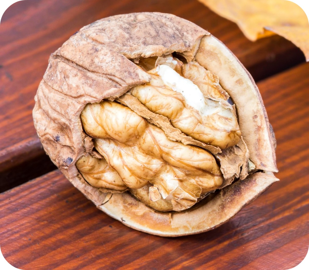 Walnuts are the ultimate nut, rich in omega 3 fatty acids, great for beautiful skin.