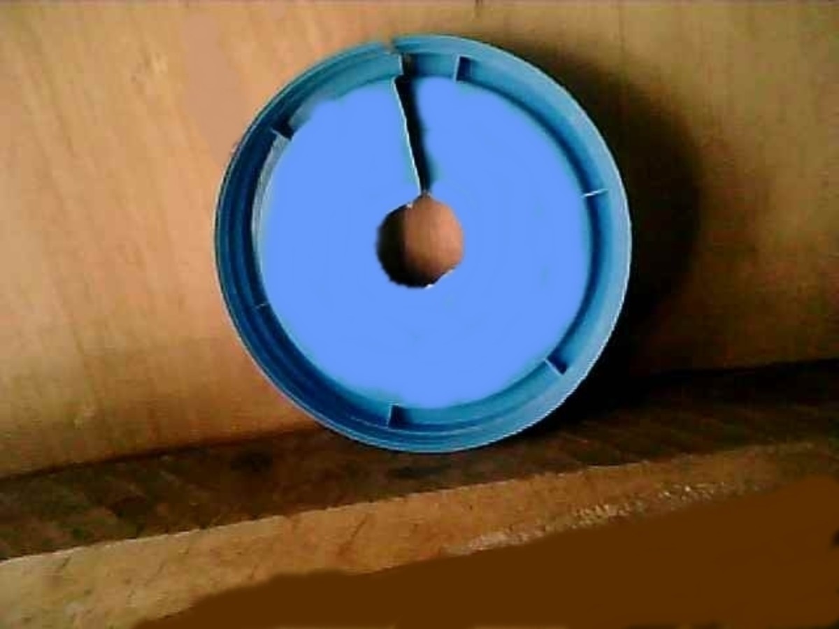 How to Make Dumbbells (Cement Weights) at Home HubPages