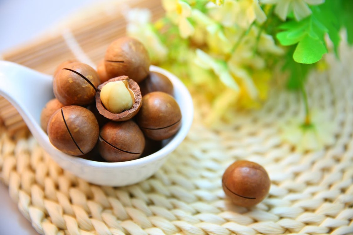 Macadamia nuts are a healthy source of vegetable-based protein as well as complex carbohydrates.
