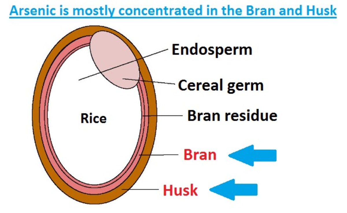 Is There Arsenic in Rice and Should I Be Concerned? HubPages