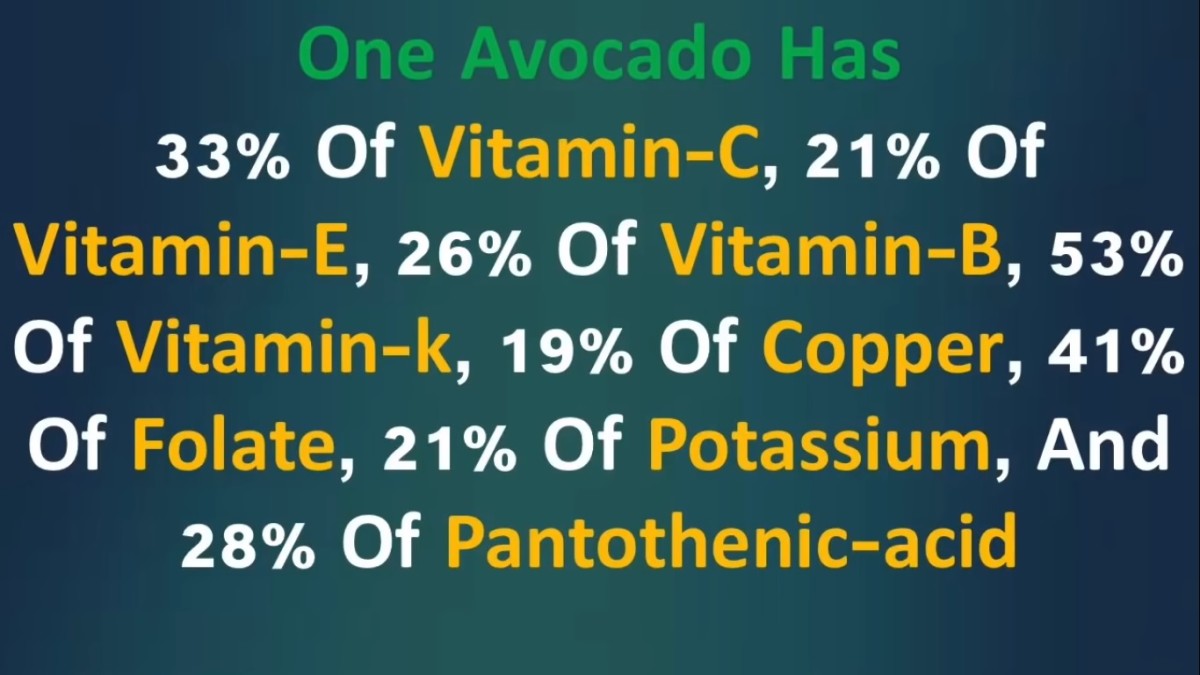 amazing-facts-of-the-avocado