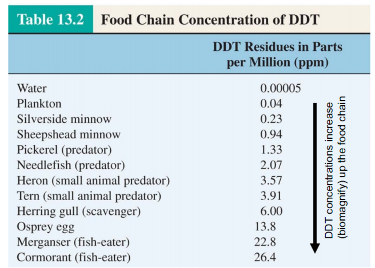 DDT Concentration in the Food Chain