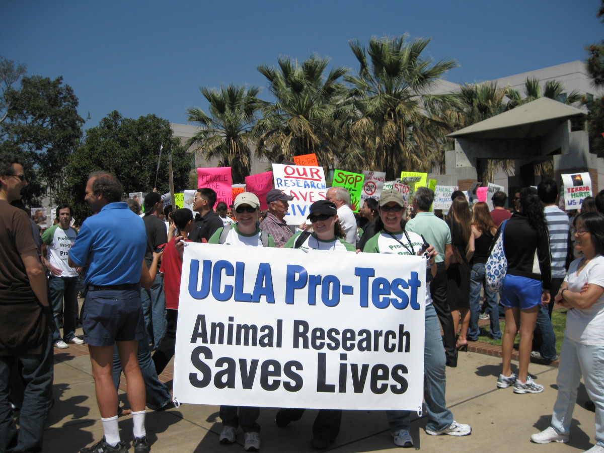 "… with ‘cruelty’ being the only ethical tool available, opponents of animal research labelled researchers as cruel"