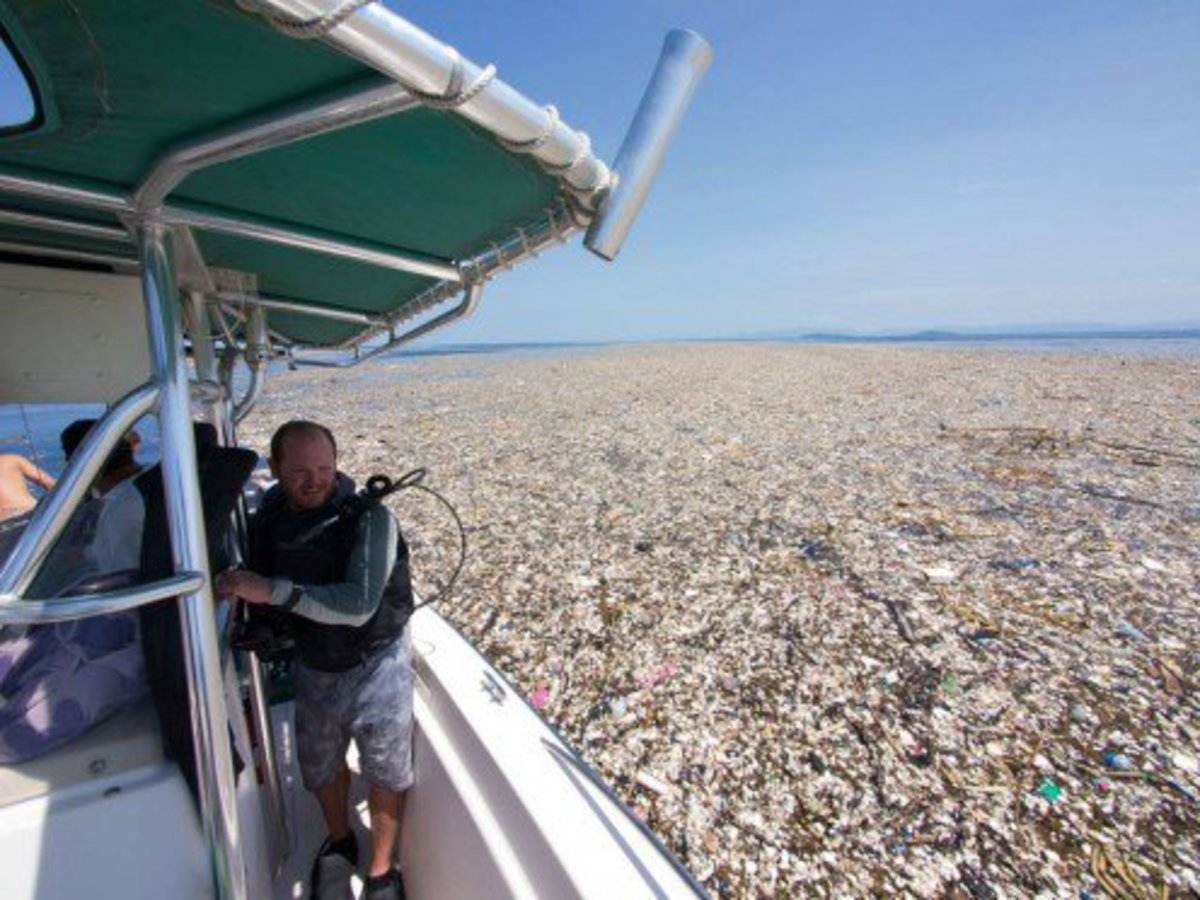 What Should I Know About Earth’s Floating Islands of Garbage? Soapboxie