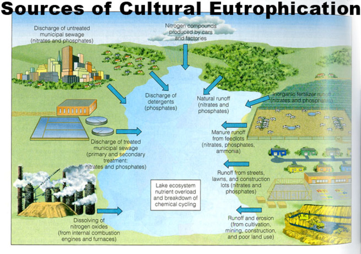 The Sources And Impacts Of Water Pollution Soapboxie