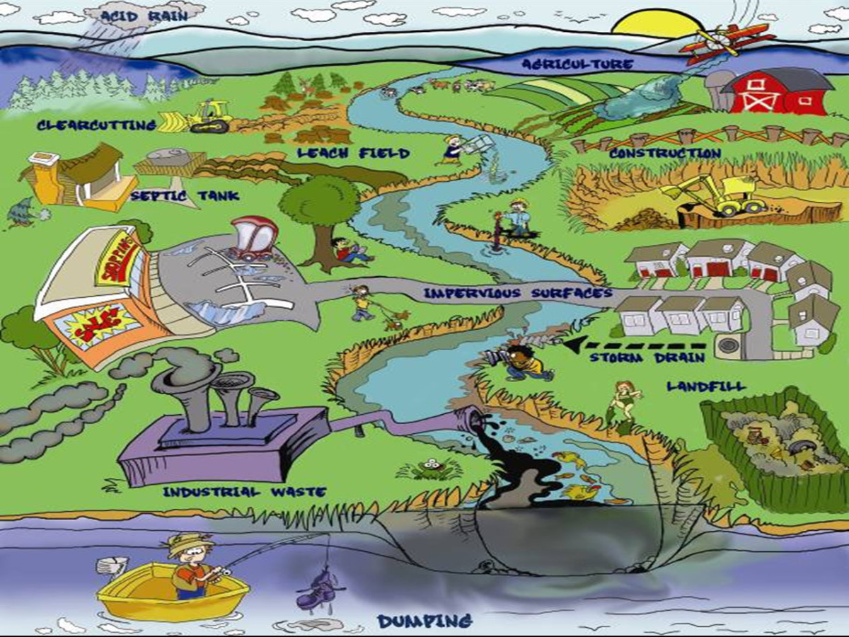 Water Pollution Caused By Agriculture