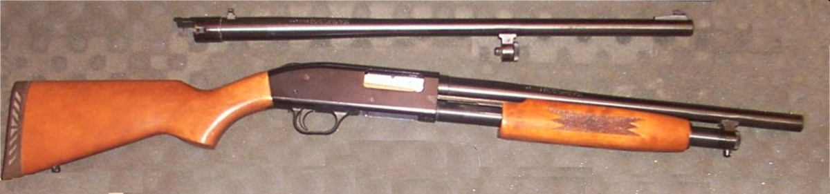 A basic shotgun.