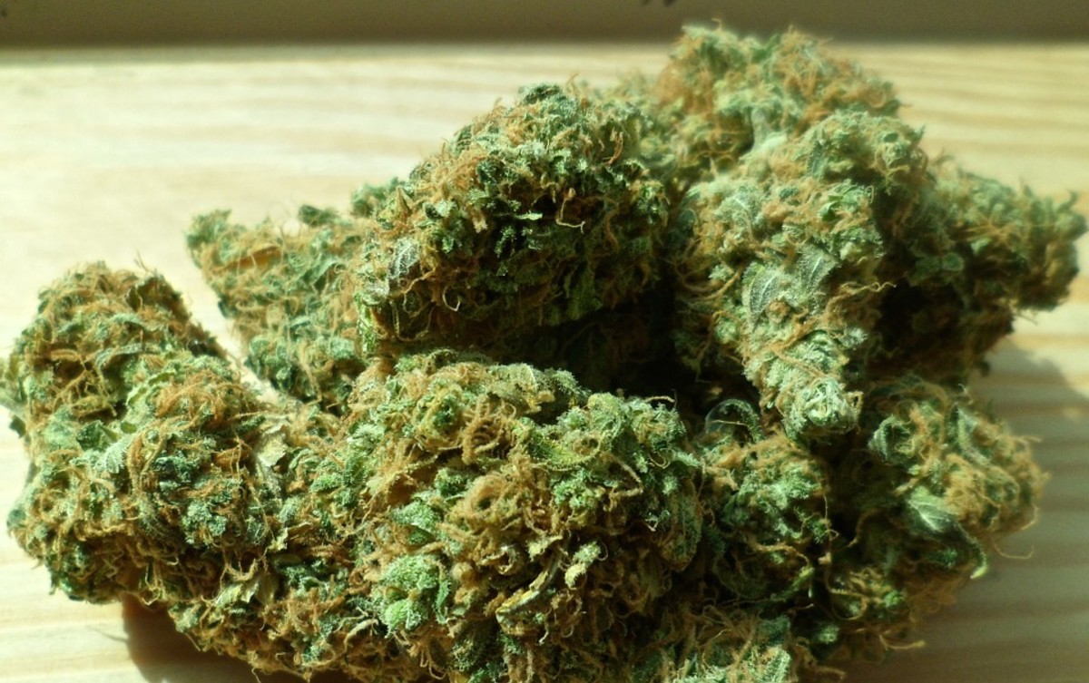 the-case-for-marijuana