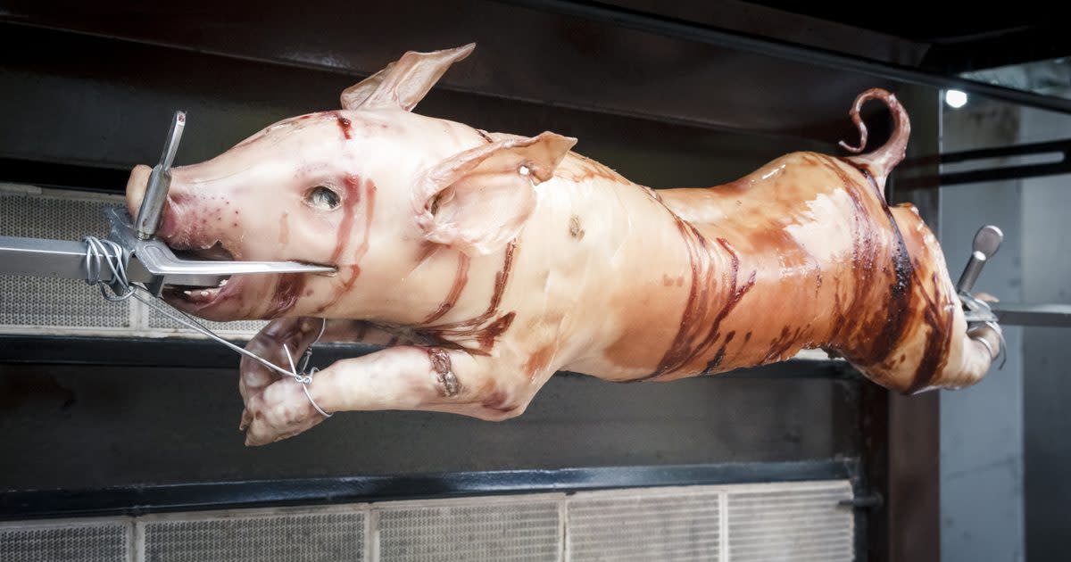 If you don't like what you see, you might want to think twice about eating bacon...