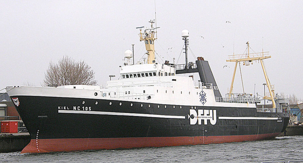 German factory ship Kiel in which fish are filleted and frozen. 