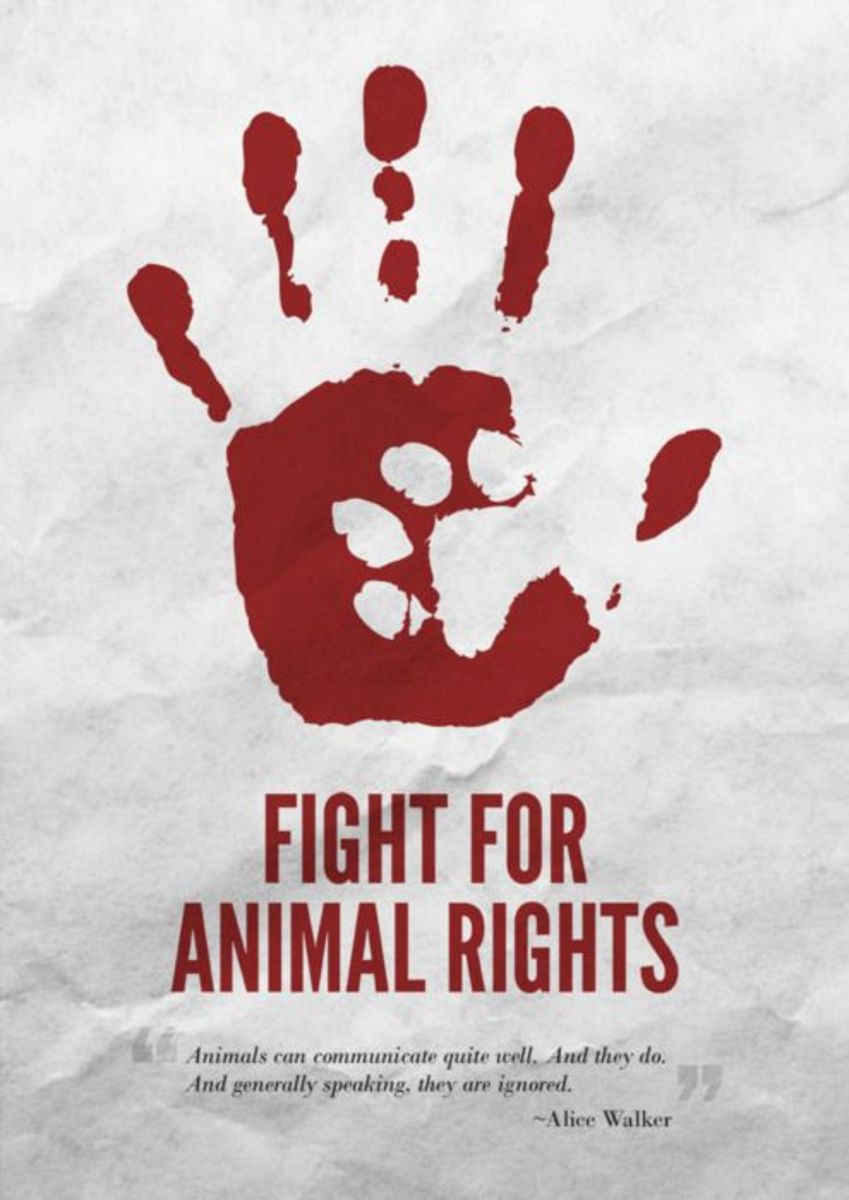 an-analysis-of-animal-rights-and-peter-singers-animal-liberation