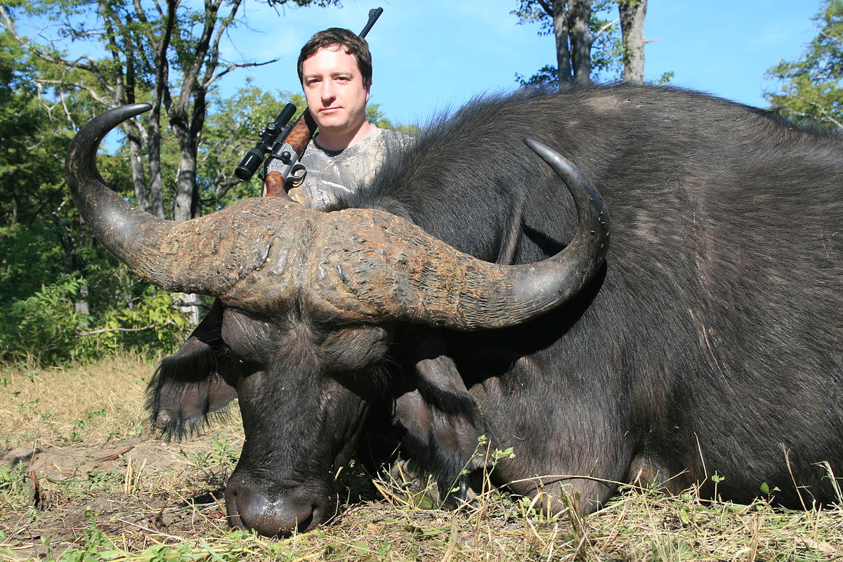 The Controversy Over Trophy Hunting in Africa - Soapboxie