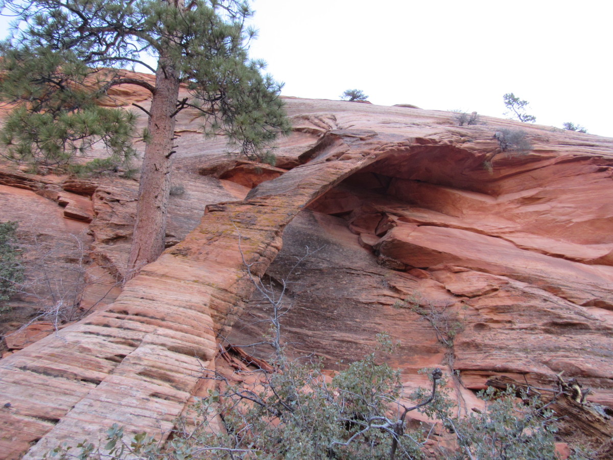 Base of Two Pines Arch
