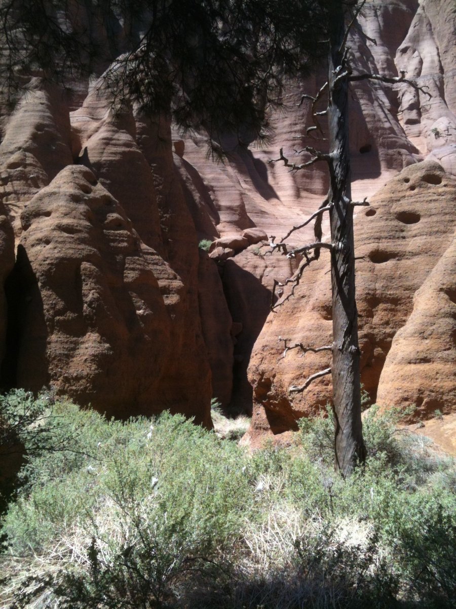 Fun and Unusal Hikes Around Flagstaff, Arizona