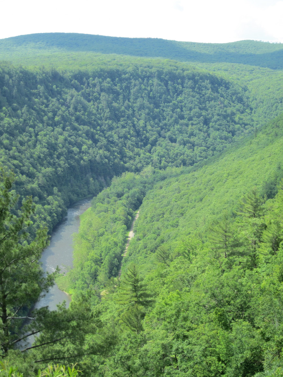 Pine Creek Gorge, the Grand Canyon of Pennsylvania - SkyAboveUs