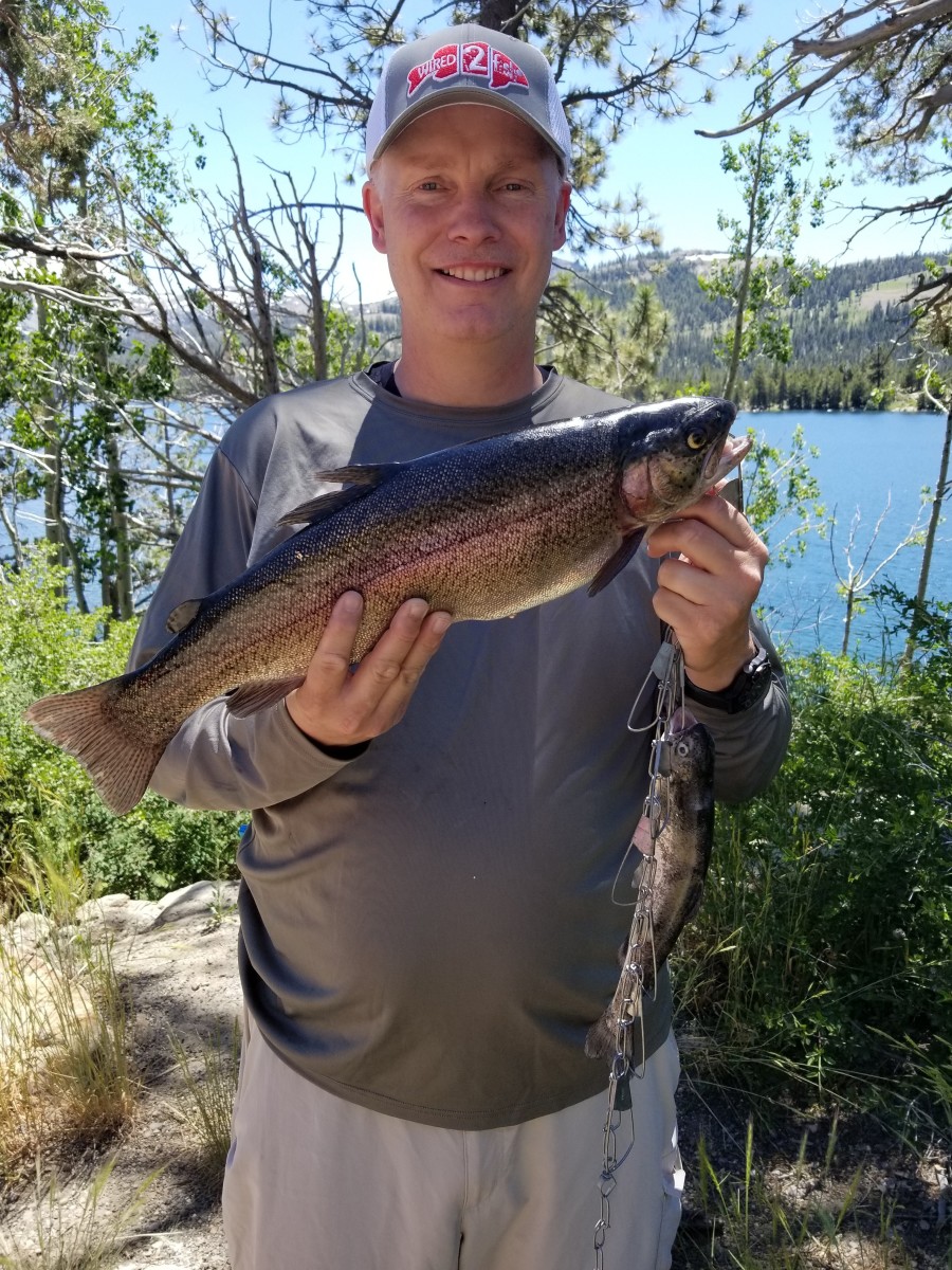 A chunky rainbow trout caught by a reader. Way to go Mike!