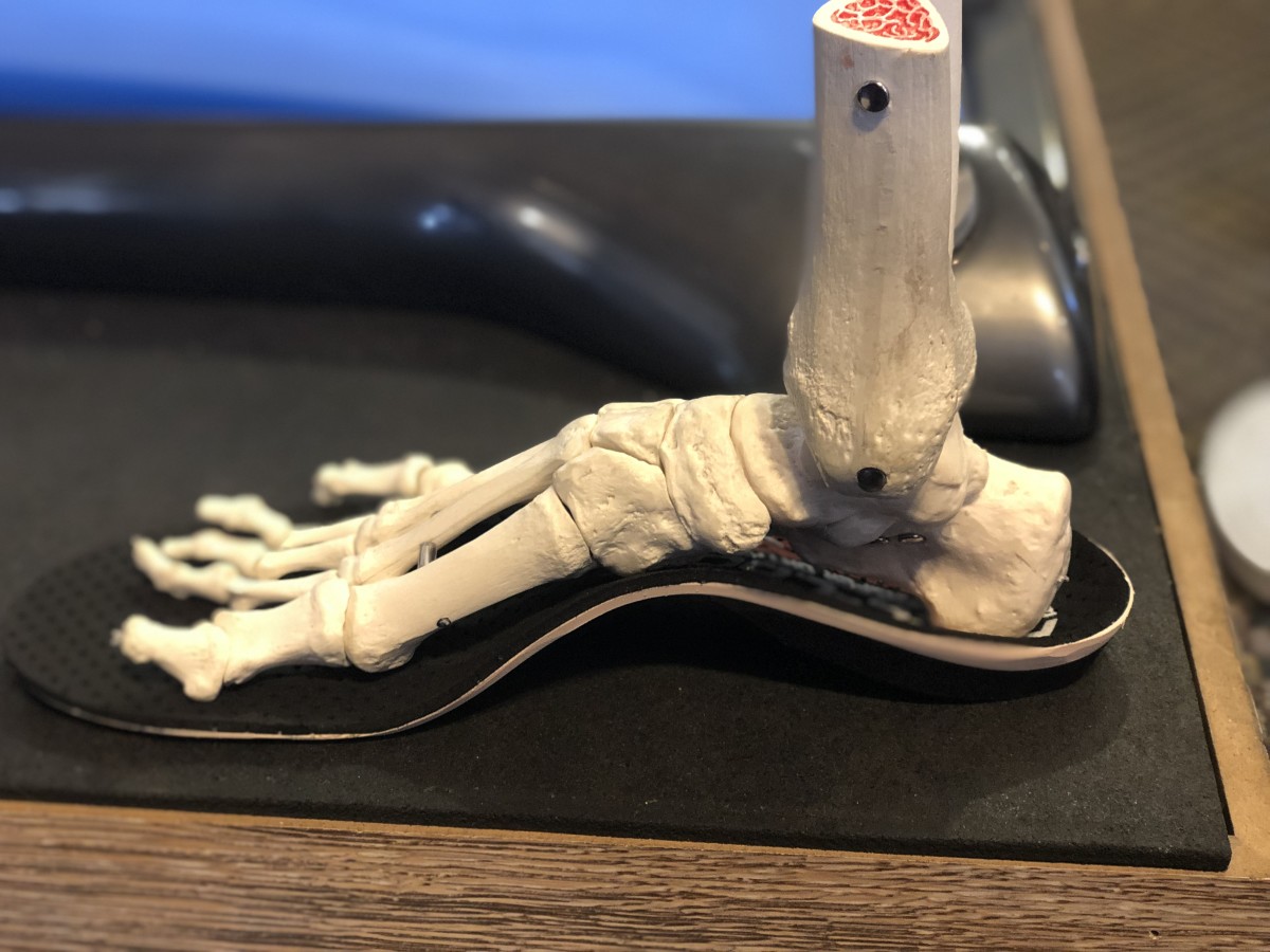Skeleton demonstrating footbed fit