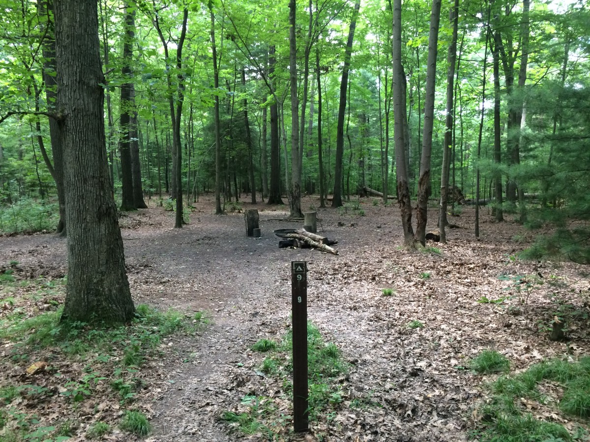 Site 9, view from trail 