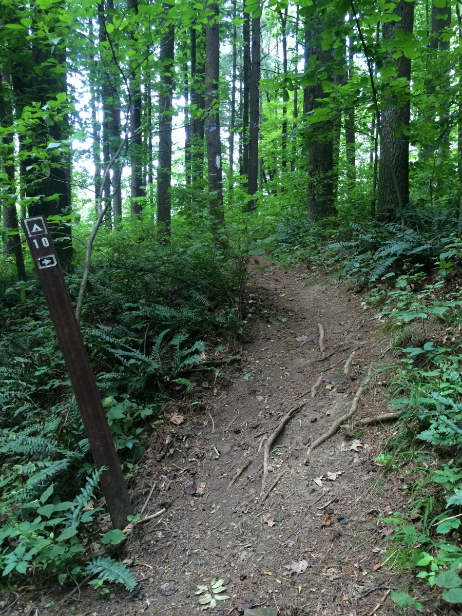 mohican state park backpacking