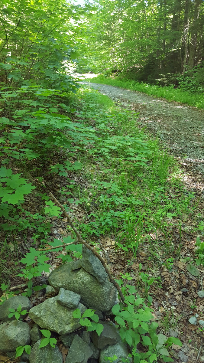 The Trail Turns Left at the Cairn