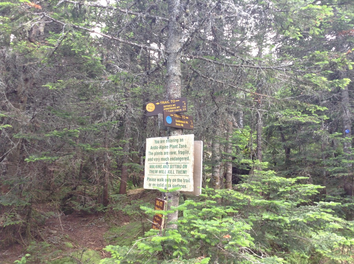 Signage to head up Gothics or down Ore Bed Trail
