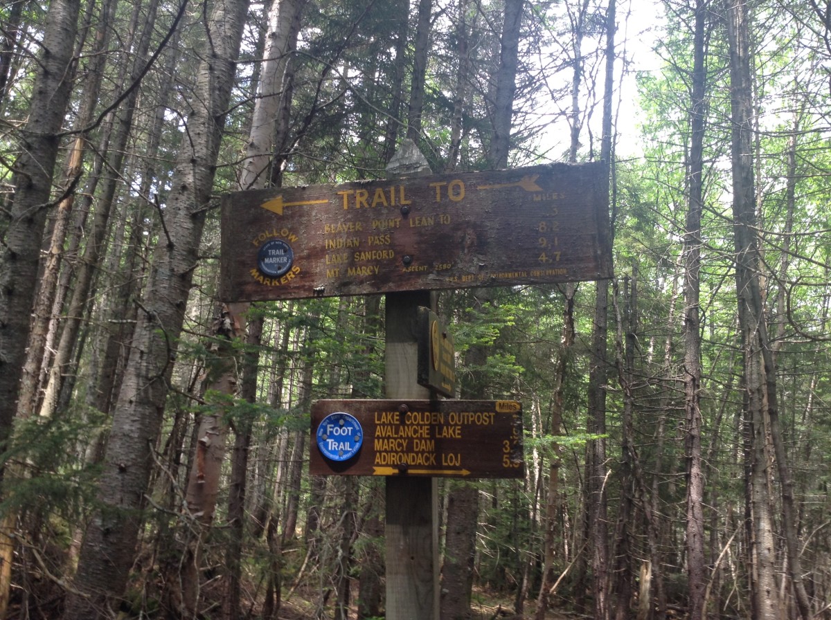 Changing to the blue trail markers here
