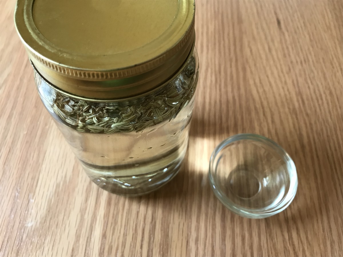 Add two tablespoons of raw fennel seeds to a quart of distilled water in a glass jar.