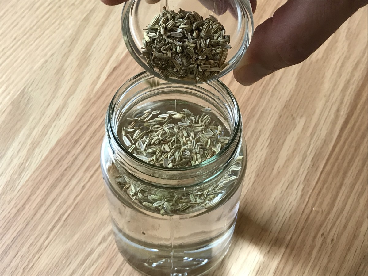 To brew fennel tea overnight, add two tablespoons of raw fennel seeds to a quart or liter of distilled water in a glass jar.