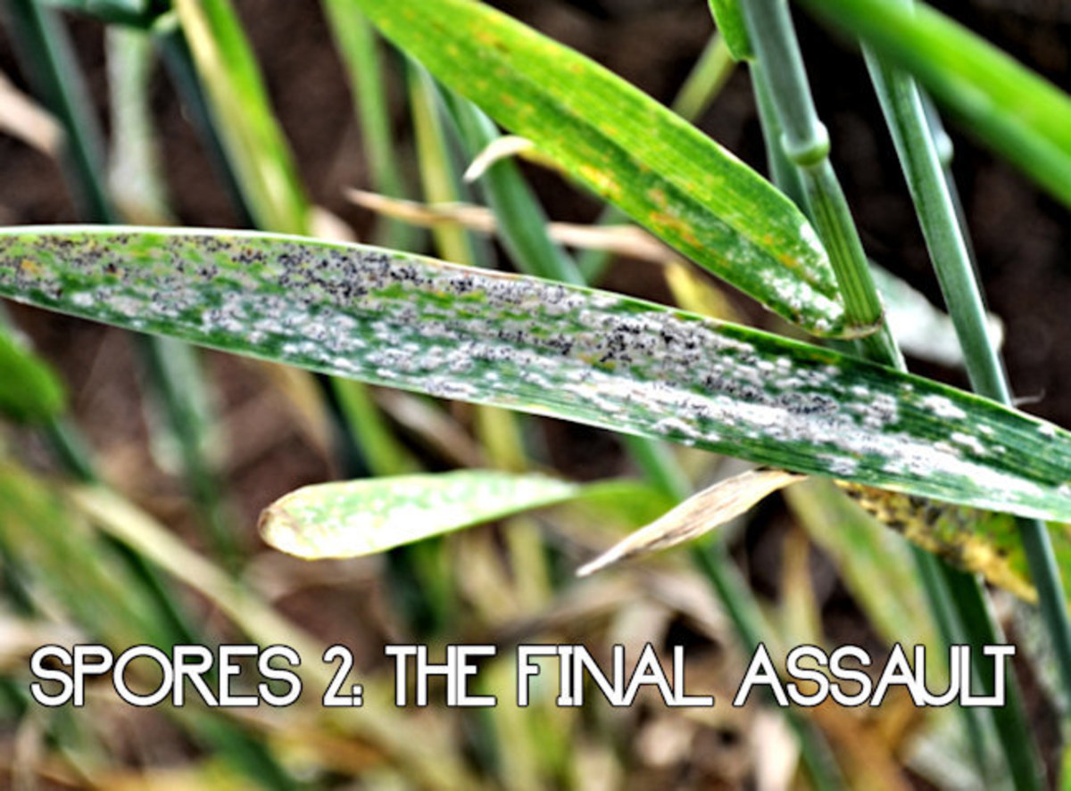 Spores 2: The Final Assault