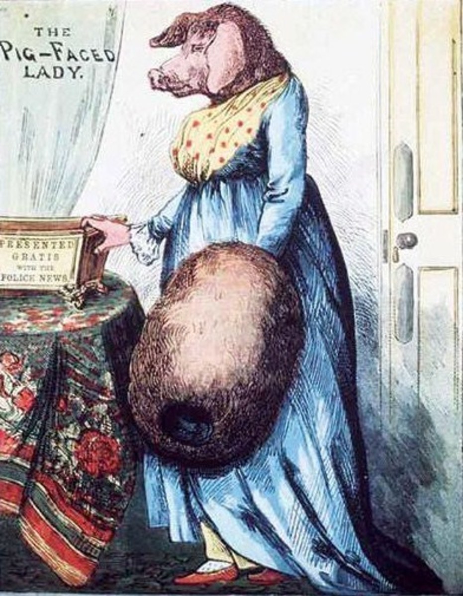 Tales of pig-faced women swirled around Europe in the 17th and 18th centuries.