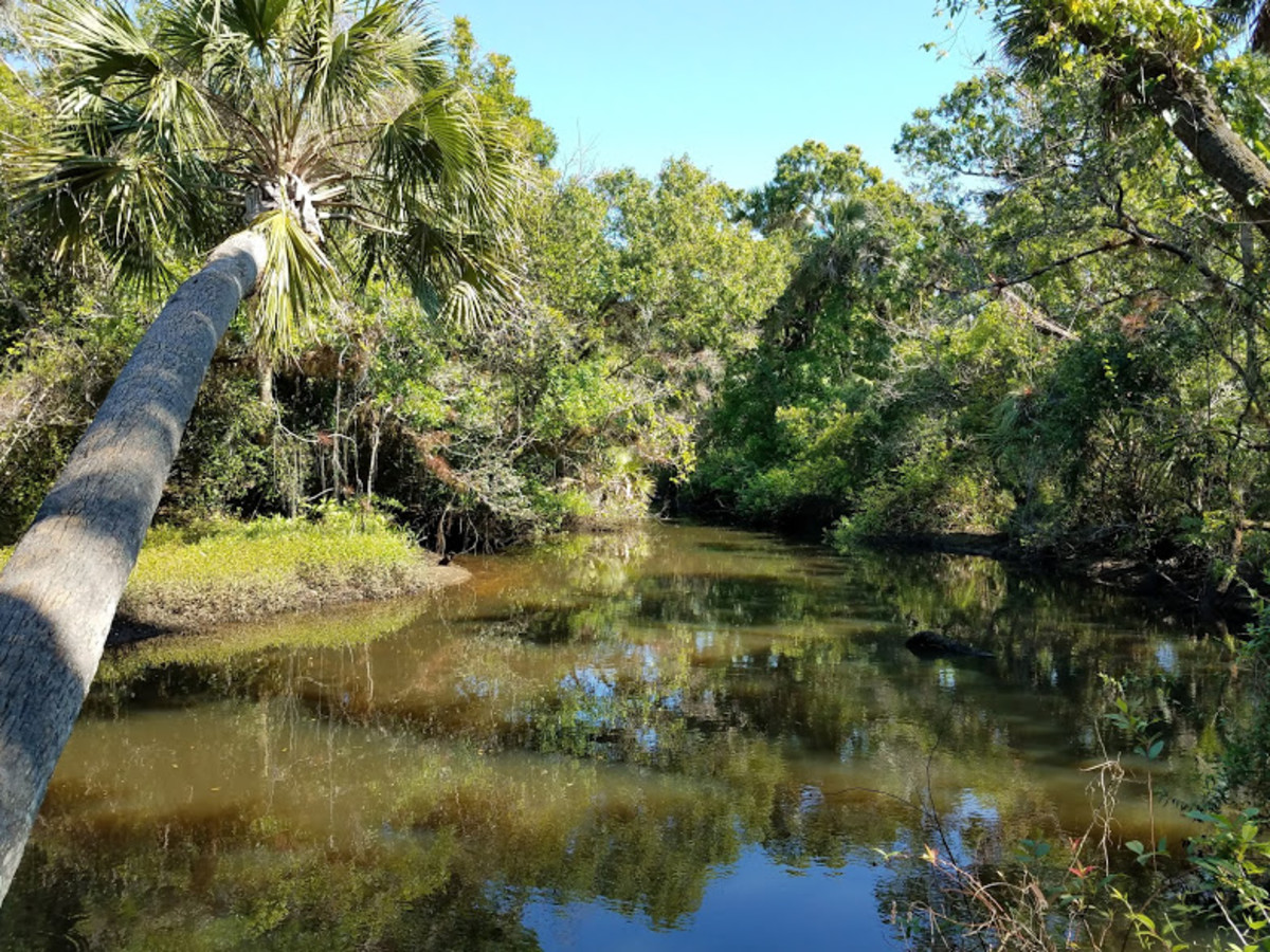 Halpatiokee Regional Park, Stuart, Florida