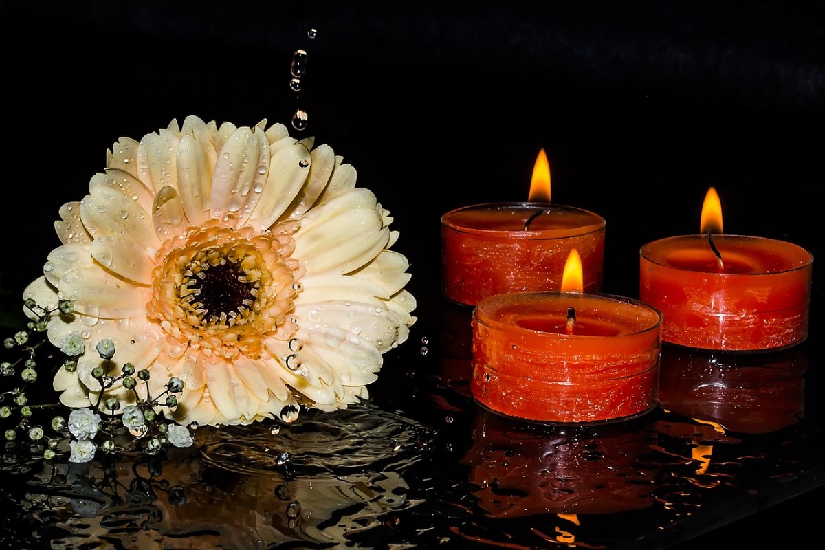 Flower and Candle