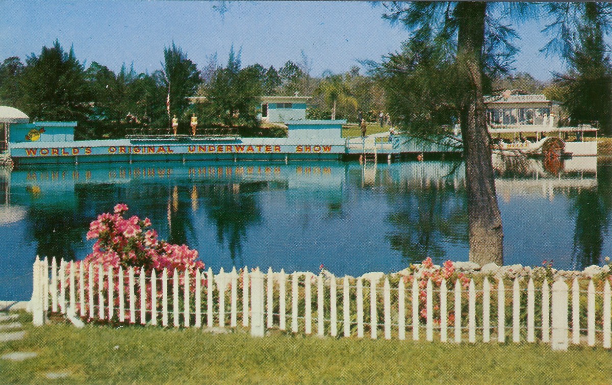 Vintage Postcard of Beautiful Weeki Wachee Springs, Florida