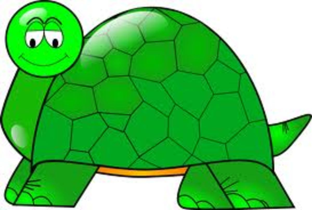 philippine-legend-the-legend-of-turtle