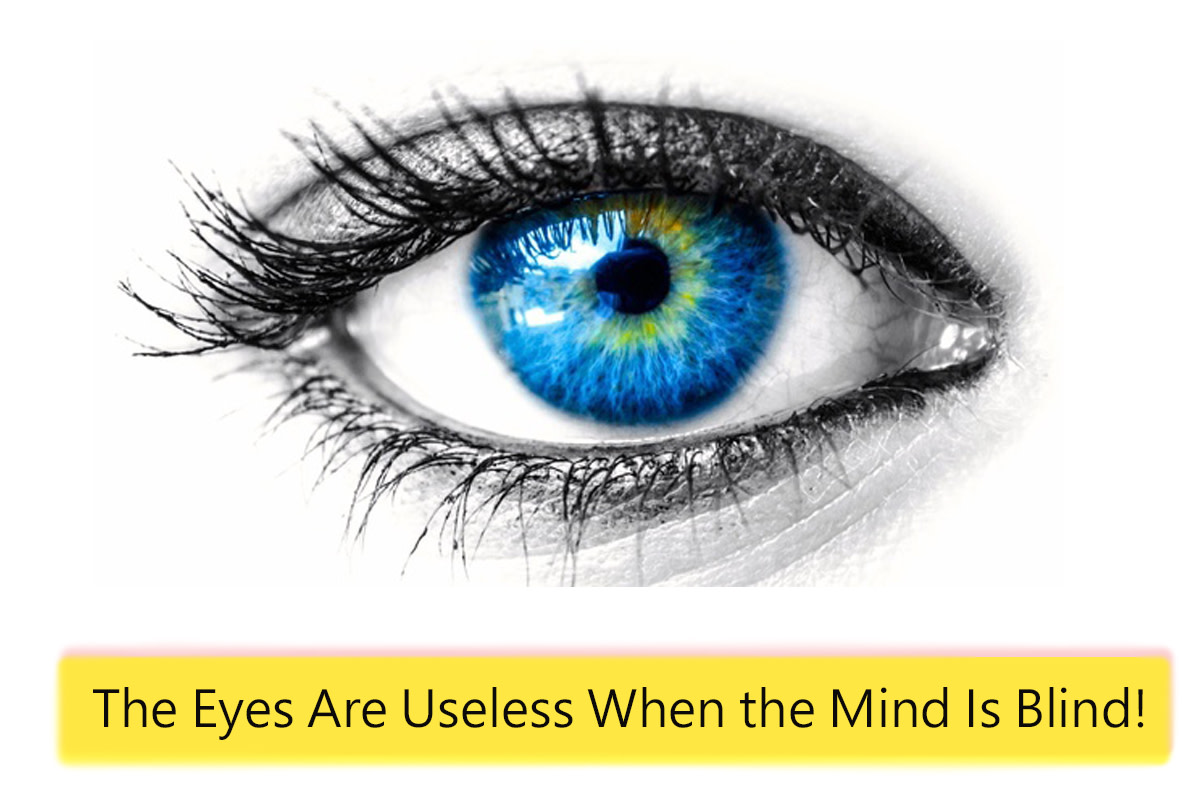 pammorrishubpagescomhubthe-eyes-are-useless-when-the-mind-is-blind