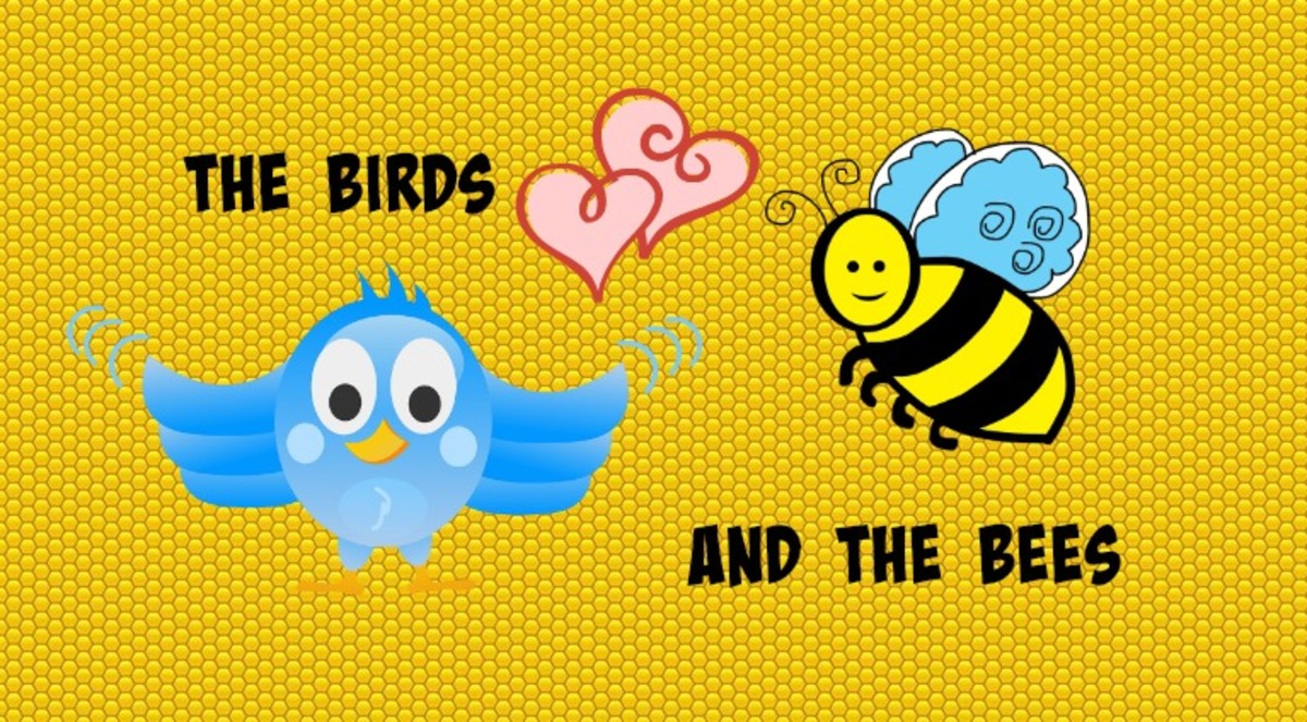 Bee перевод идиомы. Рисунок идиома the Birds and the Bees. Bees and Birds idiom.