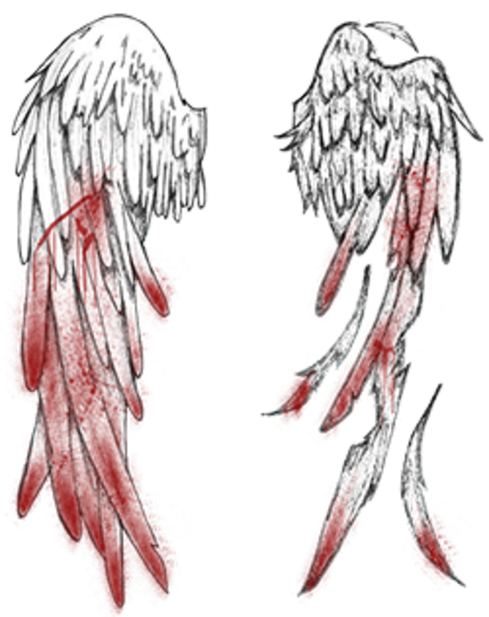 Broken Angel Wings