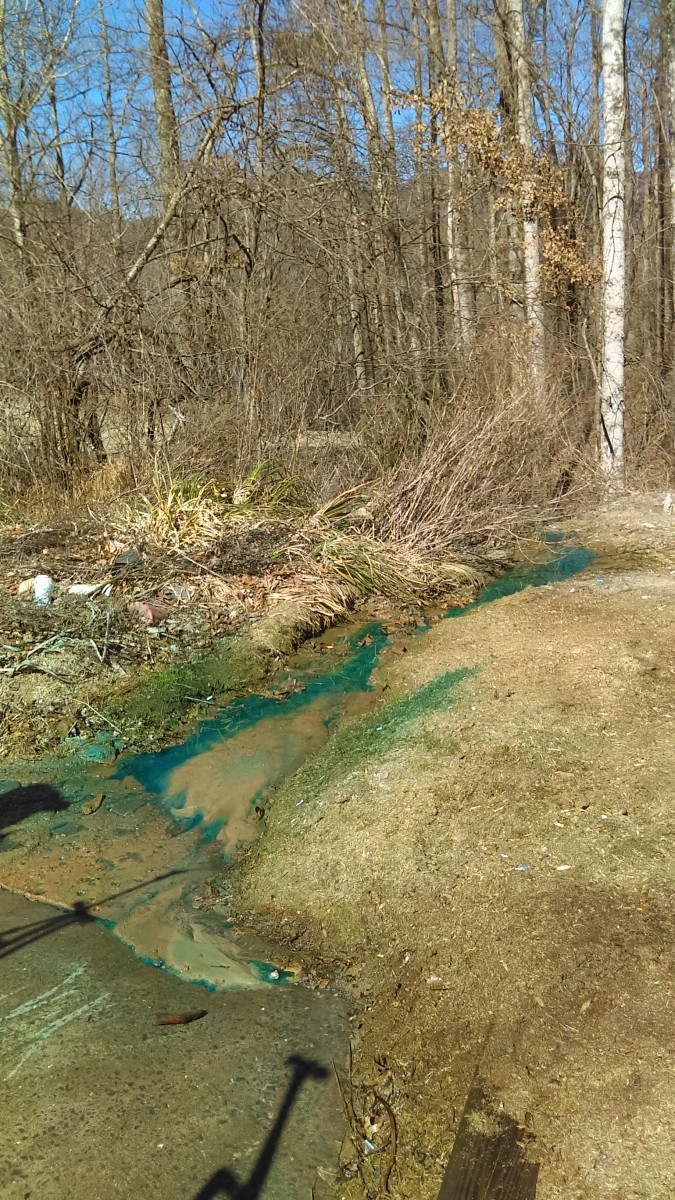 This stream of blue chemical, probably Roundup, is washing down into a spring from the equipment wash rack.