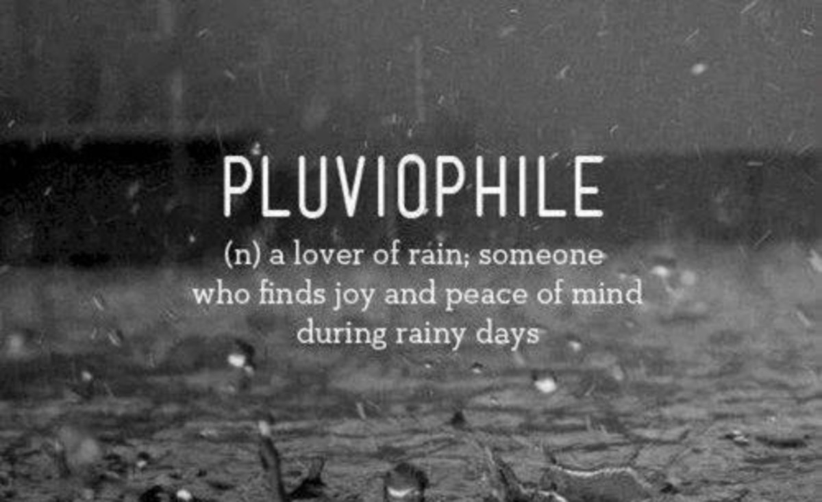 Pluviophile: a lover of rain