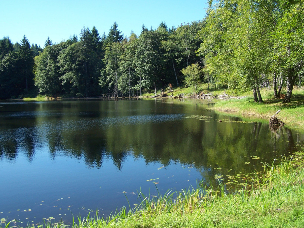 A lake, clear, beautiful, and serene