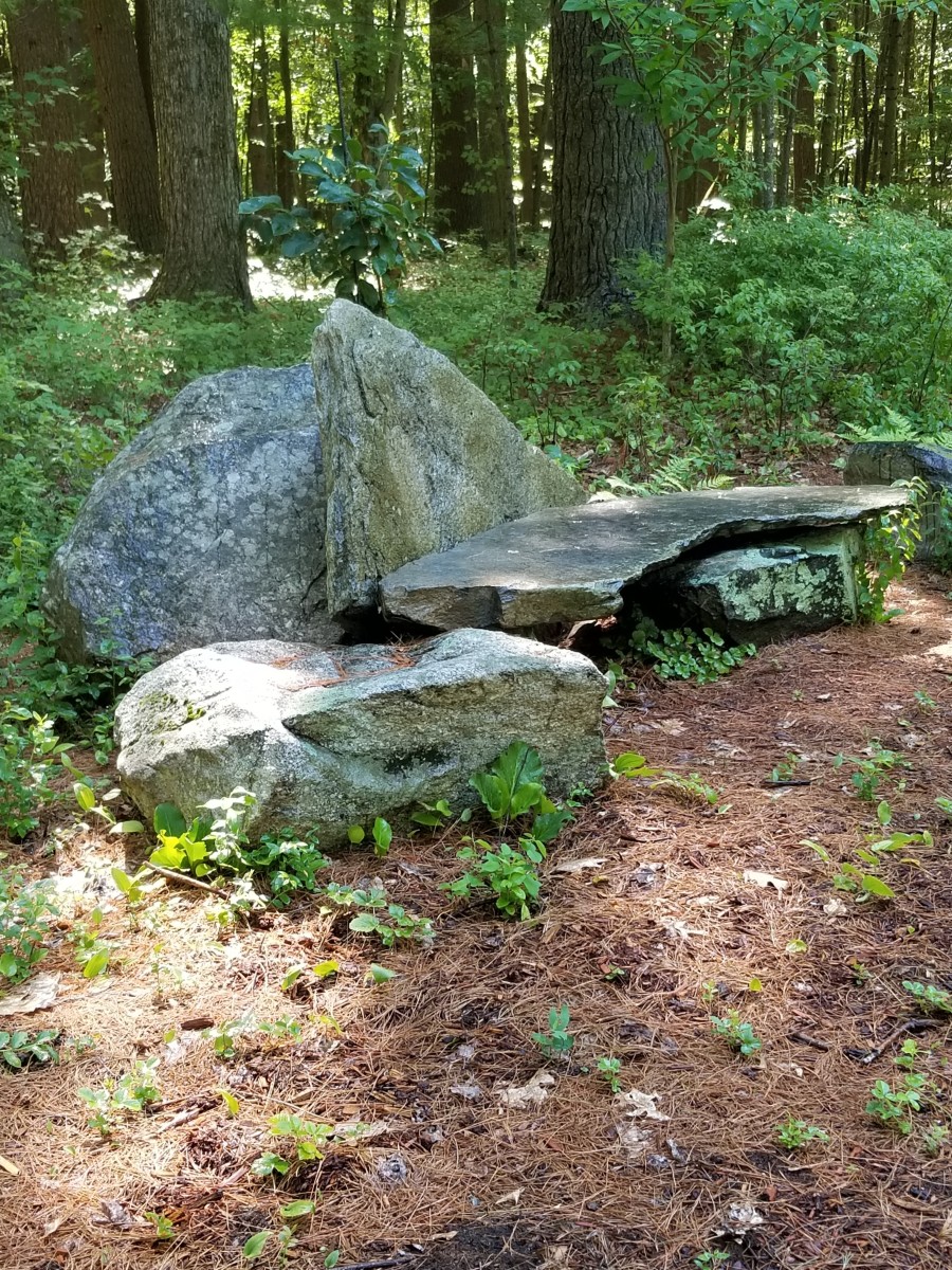 Stone seat along the forest path at our local botanical garden.