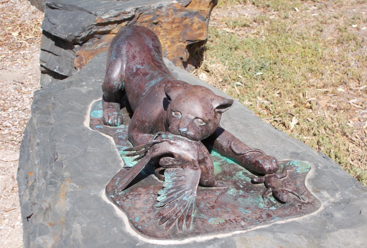Cat Sculpture along the Interpretative Trail in Wirrarninthi Park
