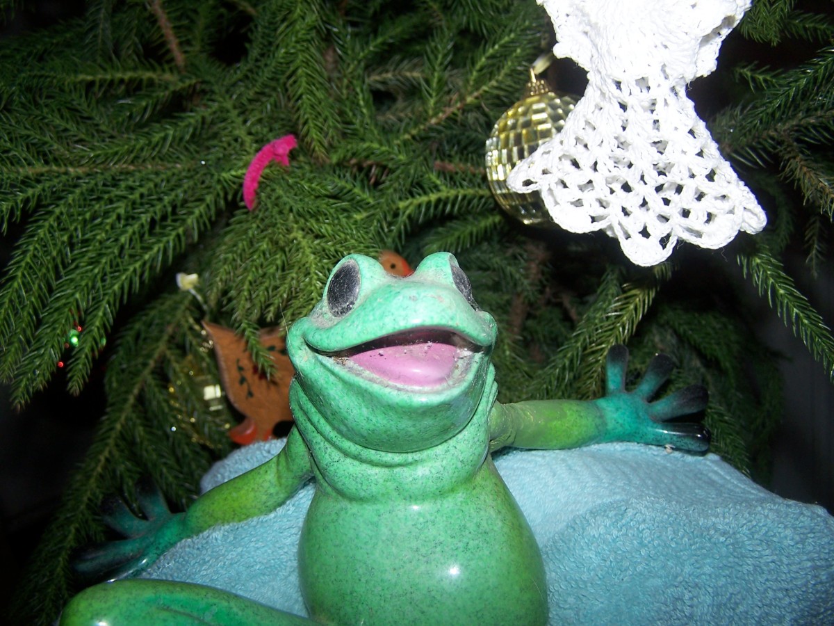 A Froggy Christmas - LetterPile