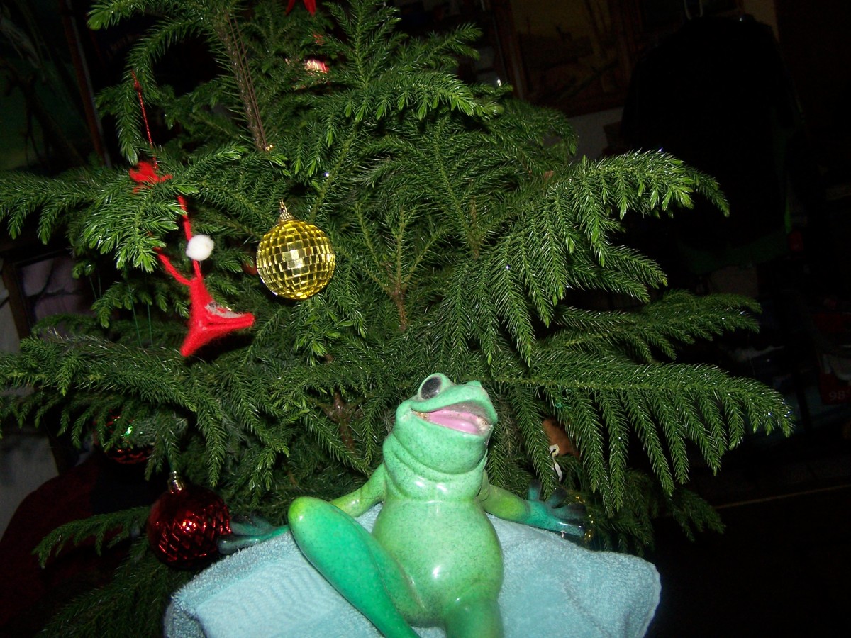 a-frogey-christmas