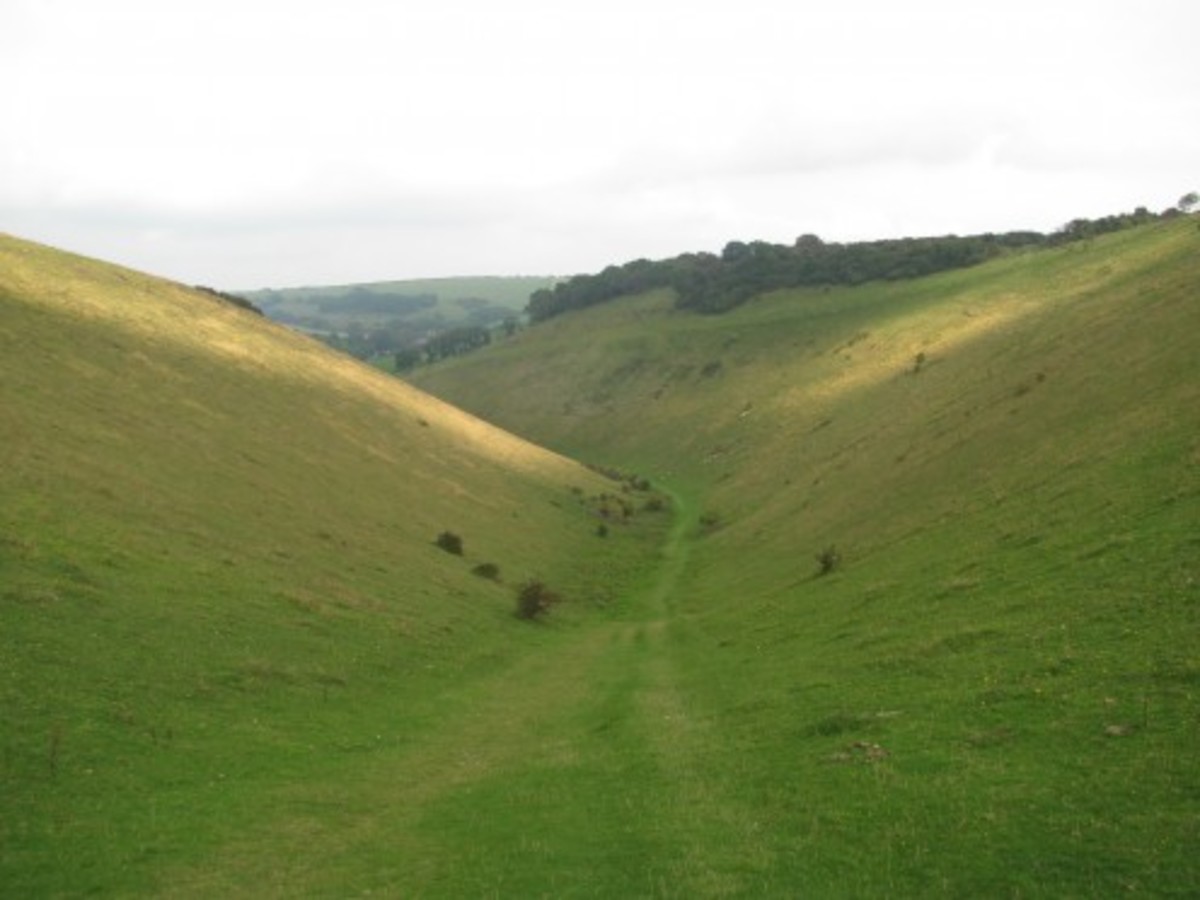 From Devil's Dyke to Sussex Weald