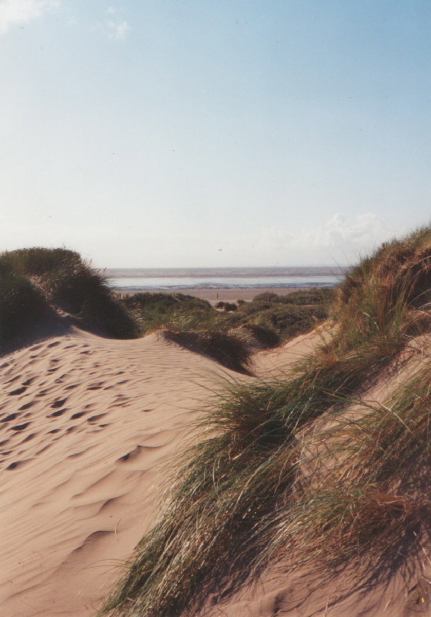 Dunes protecting the marshes & the inner land from the sea. Dunes protecting the marshes & the inner land from the sea.