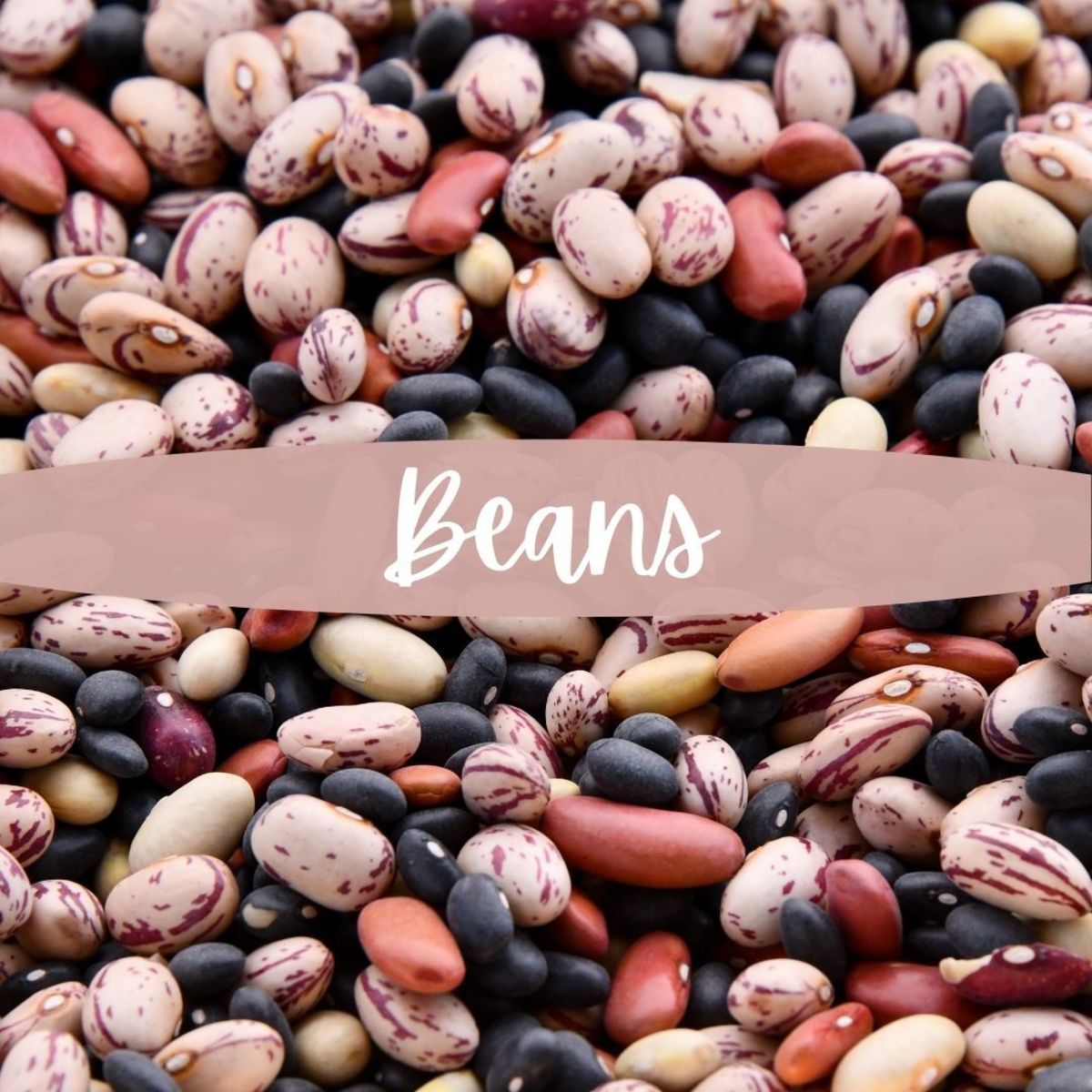Beans! There are so many varieties. Most are rich in iron, as well as many other important nutrients. Don't avoid beans for the fear of gas. Toss in some garlic, a potent gas buster and digestion soother.