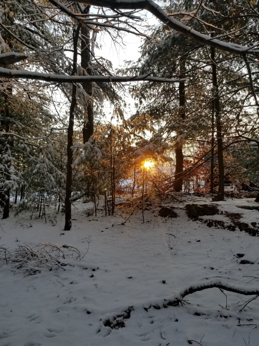 Sunshine making freshly fallen snow sparkle and the sun setting over our wooded labyrinth path invite me to pause to soak in their magic with wonder and joy.